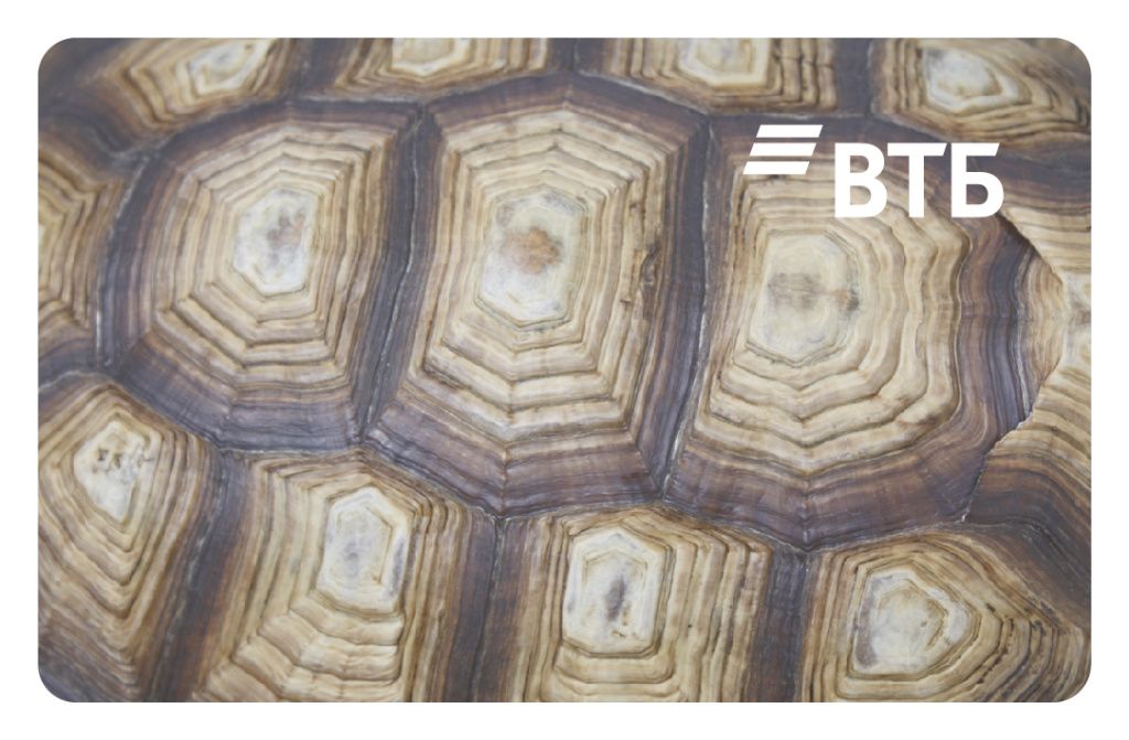 ЛОГОТИП КАРТЫ РАССРОЧКИ ЧЕРЕПАХА.jpg